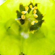 短信压力测试破解版